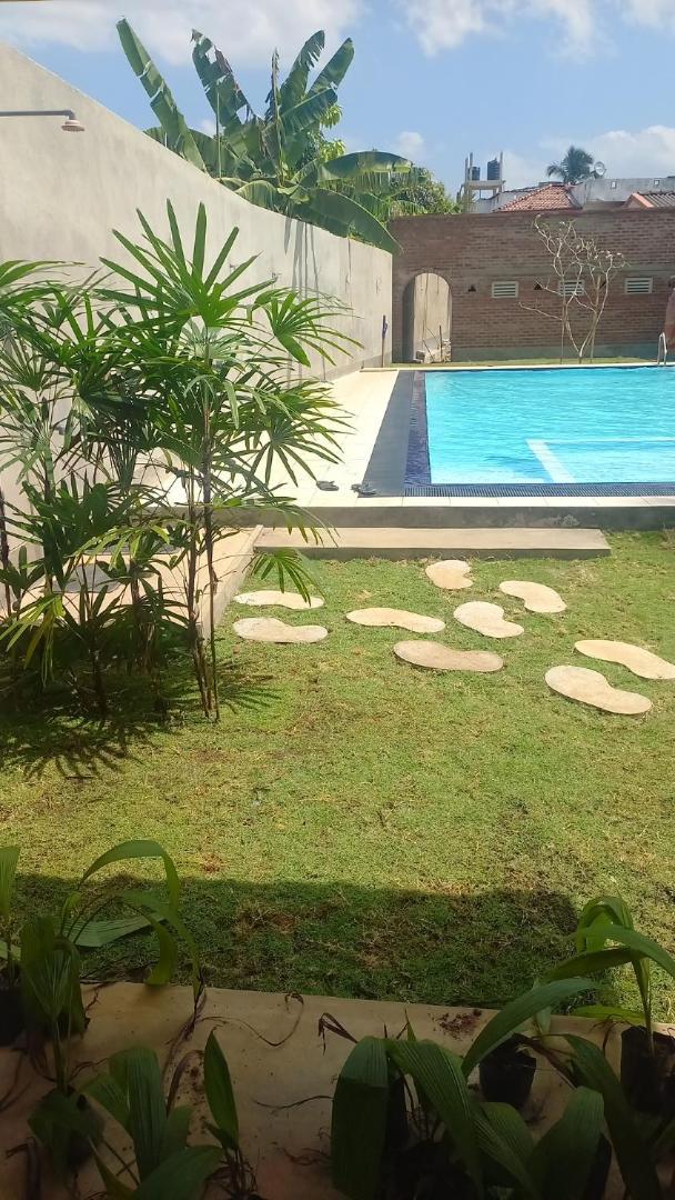 Ocean View Tourist Guest House At Negombo Beach Near The Airport Esterno foto