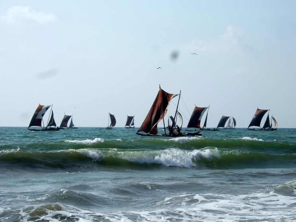 Ocean View Tourist Guest House At Negombo Beach Near The Airport Esterno foto